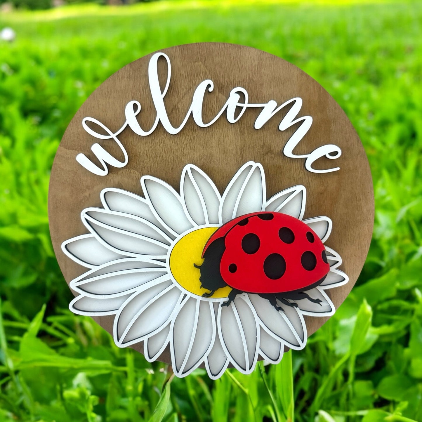 Welcome Daisy